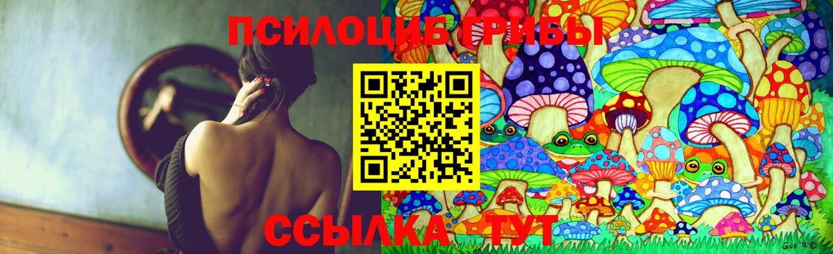 Псилоцибиновые грибы мицелий  Вход с VPN  Псилоцибиновые грибы Cubensis  Лесной 