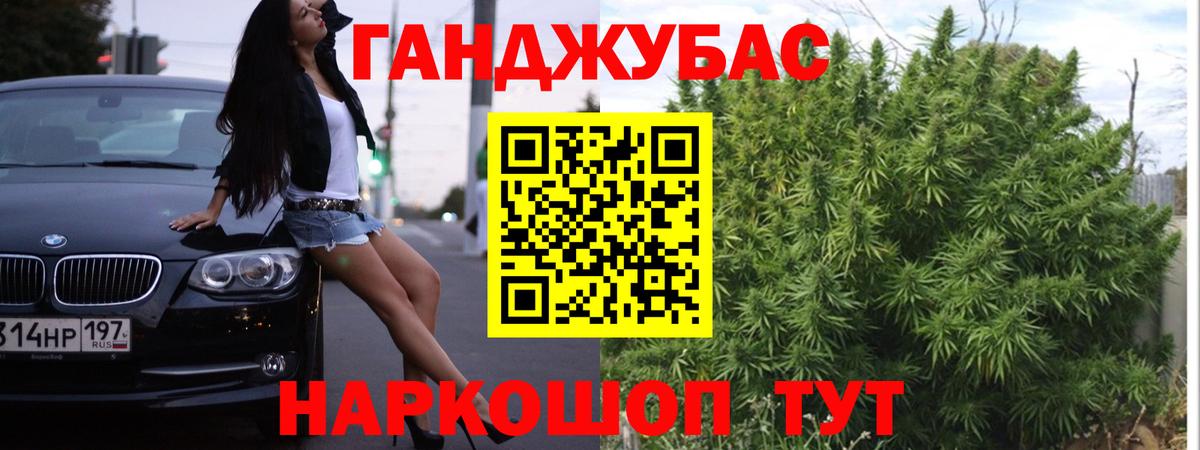 Бошки Шишки план Лесной